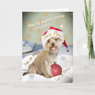 Cairn Terrier Låt det snöa kort