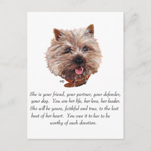 Cairn Terrier Minnesgåva - HONORADIE Vykort