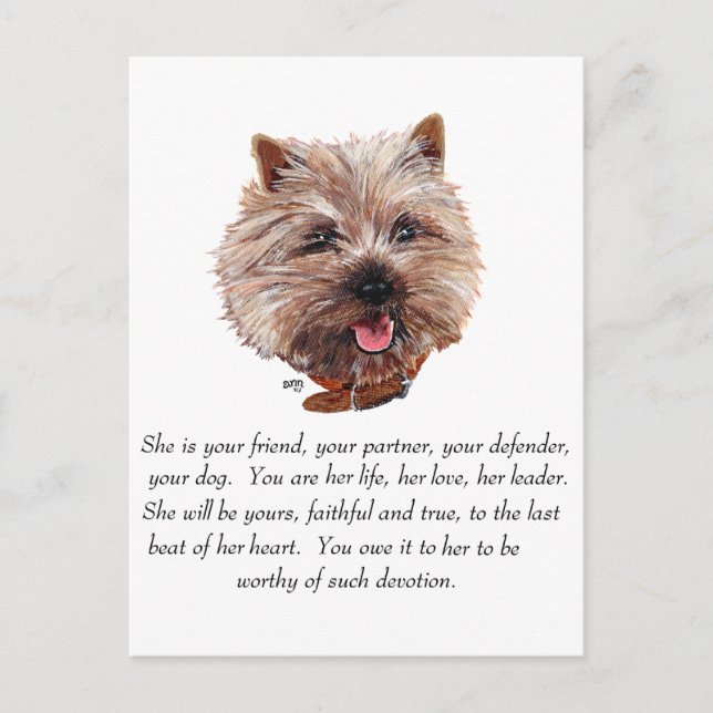 Cairn Terrier Minnesgåva - HONORADIE Vykort (Framsida)
