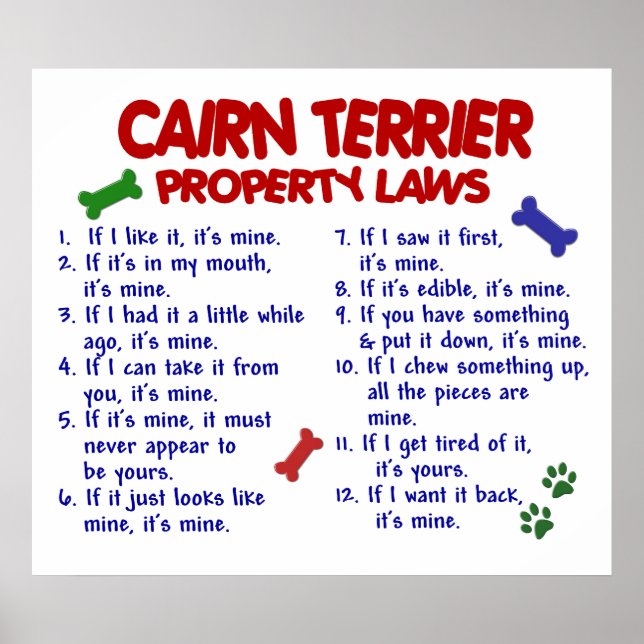 CAIRN TERRIER PL2 POSTER (Framsidan)
