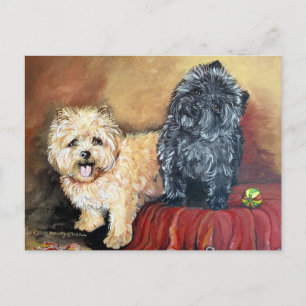 Cairn Terrier Porträtt Vykort