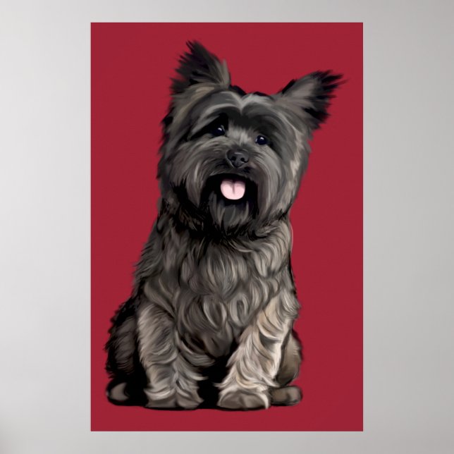 Cairn Terrier Poster (Framsidan)