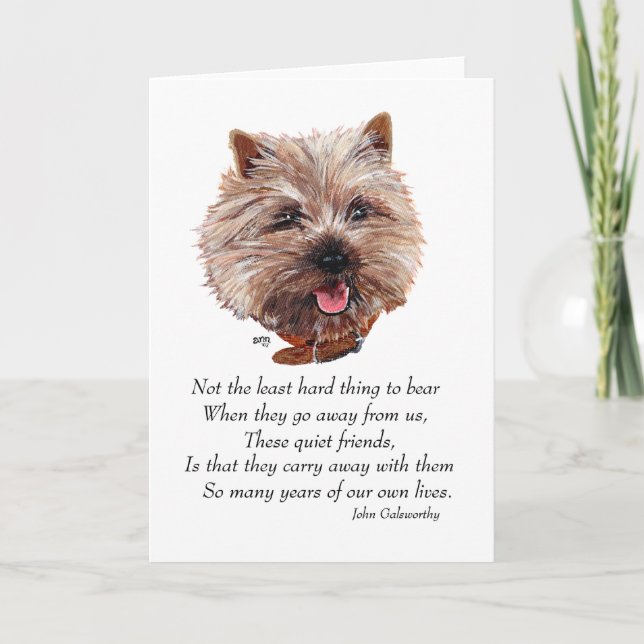 Cairn Terrier Rainbow Bridge Kort (Framsida)