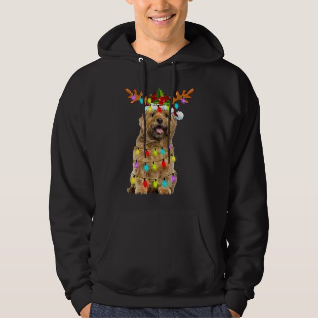 Cairn Terrier Reindeer jul Ljus Rolig hund Hoodie (Framsida)