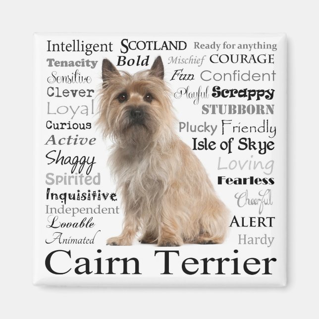 Cairn Terrier Traits Magnet (Framsidan)