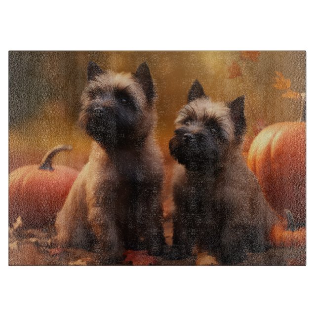 Cairn Terrier Valp Höstglädje Pumpa  (Framsidan)