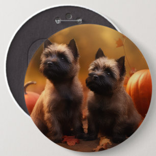 Cairn Terrier Valp Höstglädje Pumpa Knapp