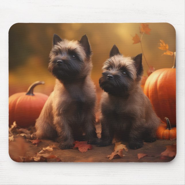 Cairn Terrier Valp Höstglädje Pumpa Musmatta (Framsidan)