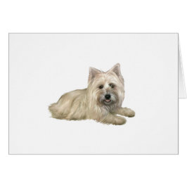 Cairn Terrier (vetefärgad) - liggande Hälsningskort