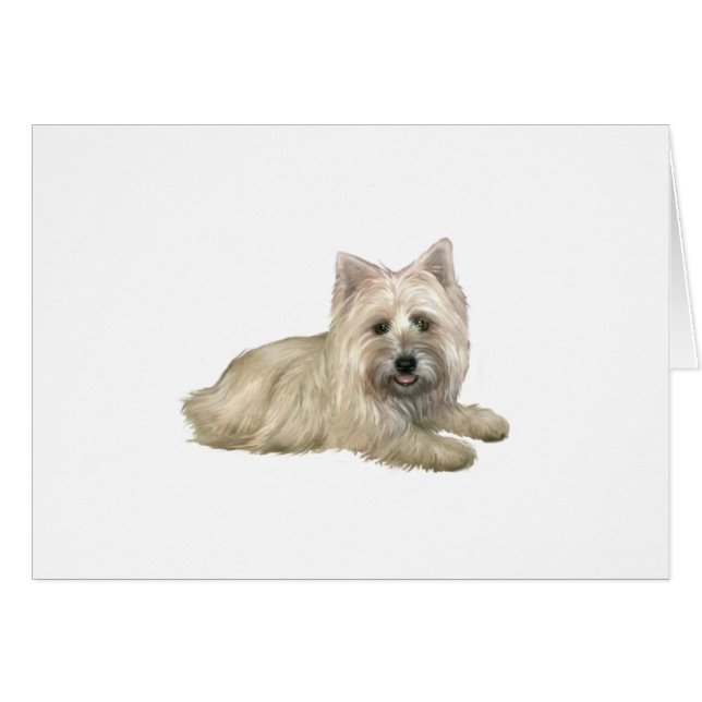 Cairn Terrier (vetefärgad) - liggande Hälsningskort (Framsidan Horizontal)