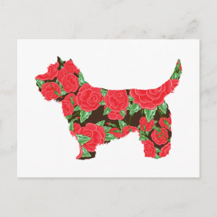 Cairn Terrier Vykort