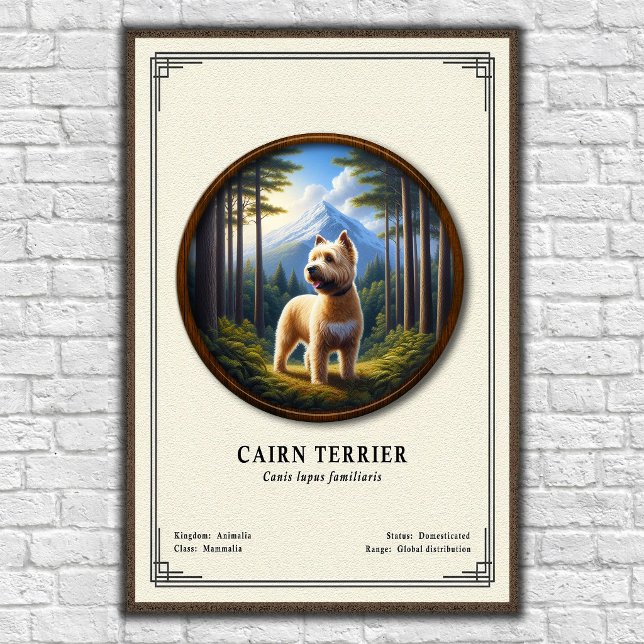 Cairn Terrier Zoologi Serie Poster (Skapare uppladdad)