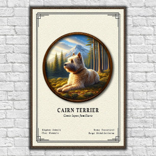 Cairn Terrier Zoologi Serie Poster