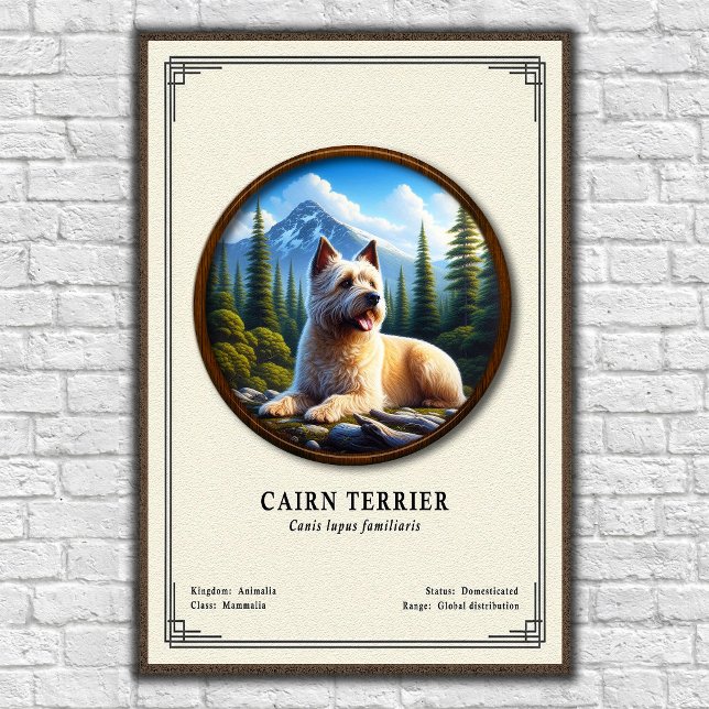 Cairn Terrier Zoologi Serie Poster (Skapare uppladdad)