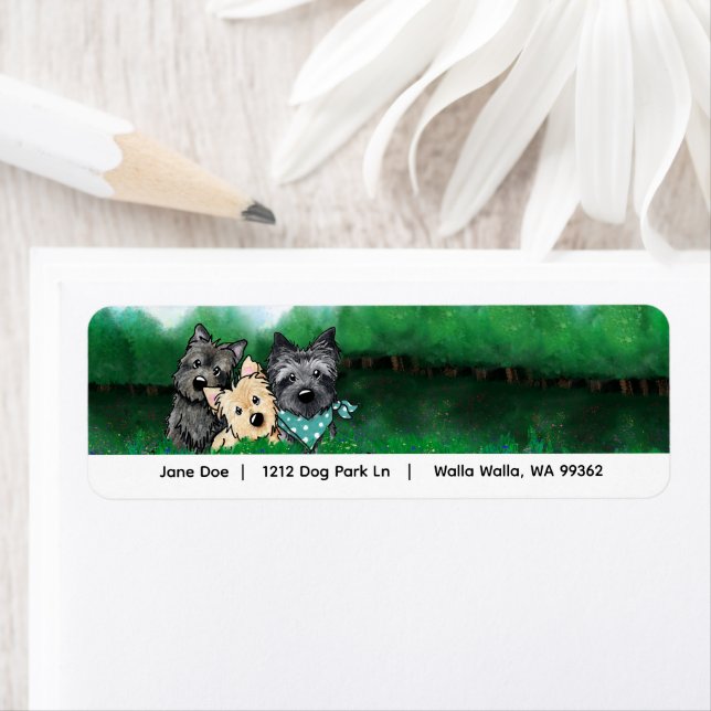 Cairn Terriers Adress Returadress Etikett (Insitu)