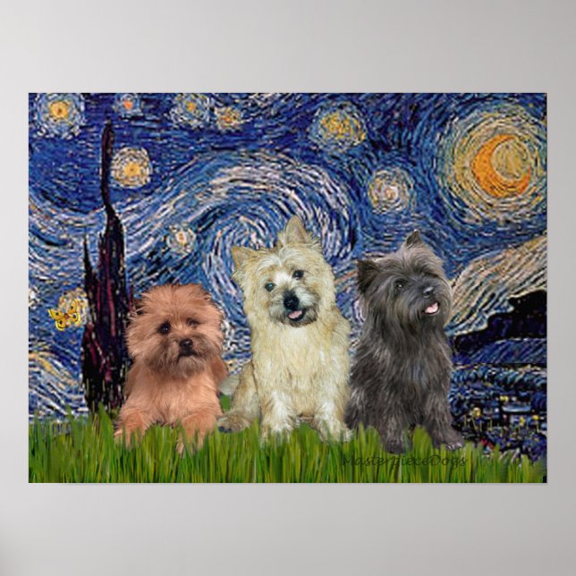 Cairn Terriers (tre) - Stjärnklar natt Poster (Framsidan)