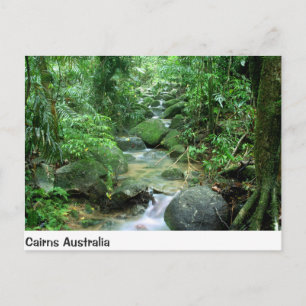 Cairns Forest Bäck Queensland Australiens vykort