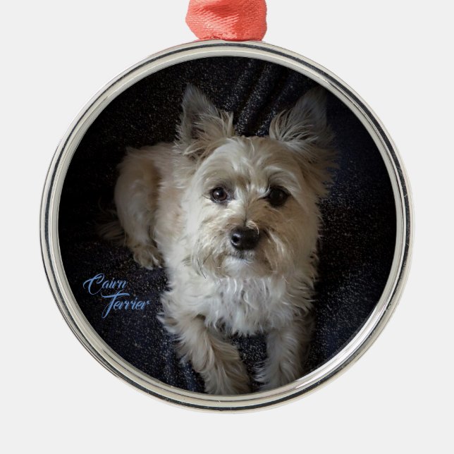 Cairntensity högvärdig rundaprydnad julgransprydnad metall (Framsidan)