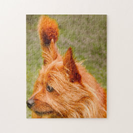 Cairnterrier Hund. Pussel