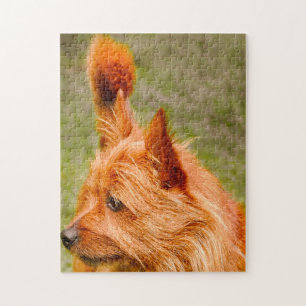 Cairnterrier Hund. Pussel