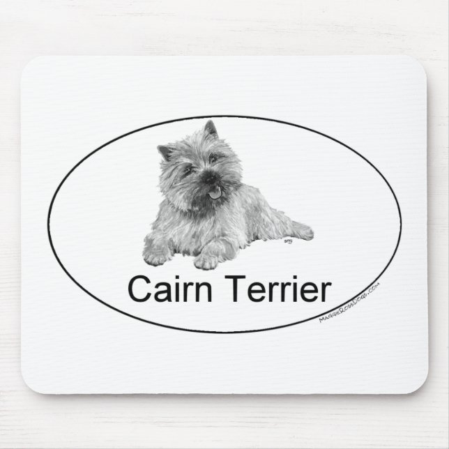 Cairnterrier Musmatta (Framsidan)