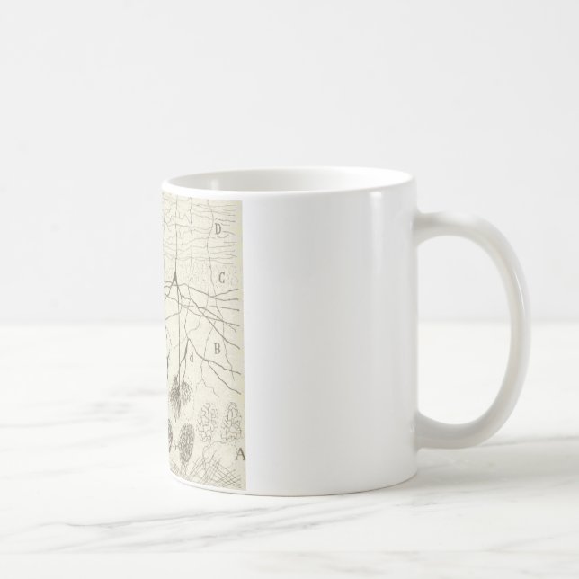 Cajals Neurons 8 Kaffemugg (Höger)