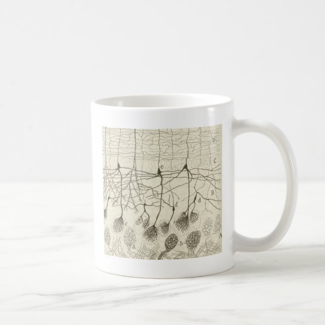 Cajals Neurons 8 Kaffemugg (Höger)