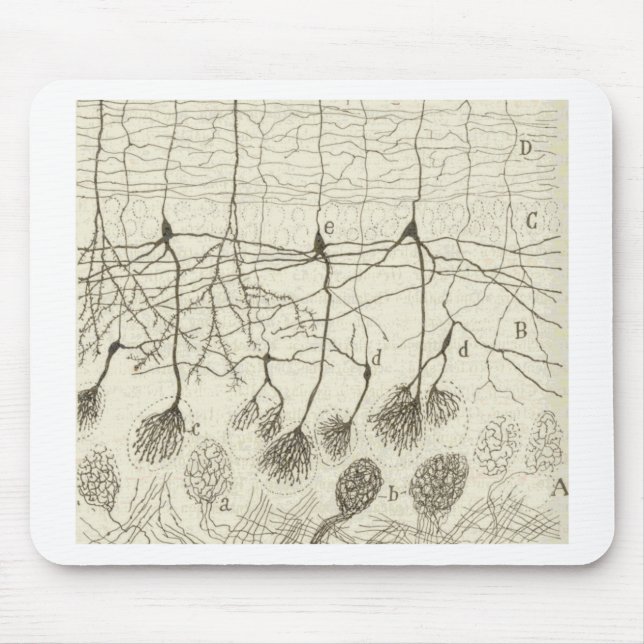 Cajals Neurons 8 Musmatta (Framsidan)