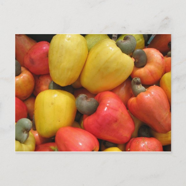 Caju mãenatureza vykort (Framsida)