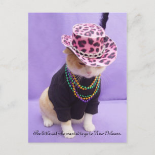 Cajun Bubba Kattunge Vykort