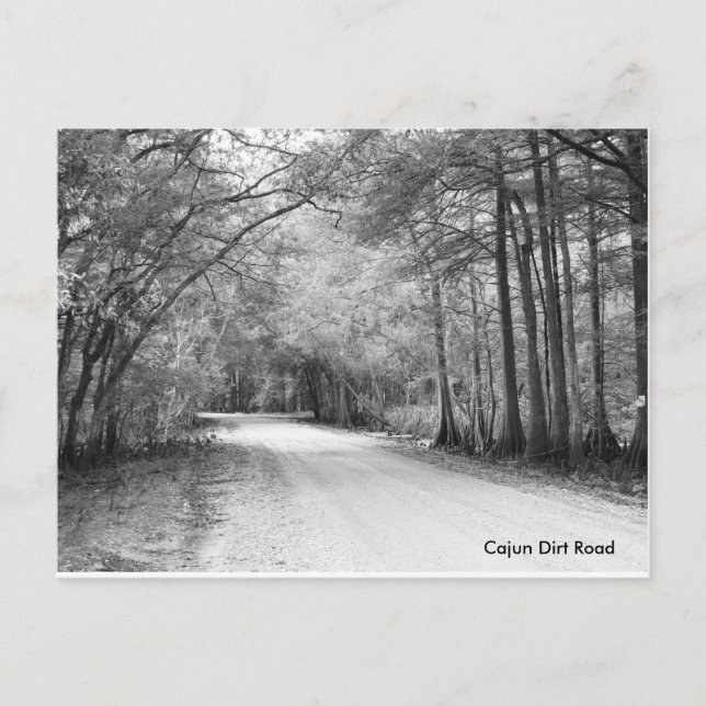 Cajun Dirt Road-vykort Vykort (Framsida)