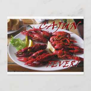 Cajun Fever! Vykort