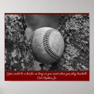 Cal Ripken Basebollaffisch Poster