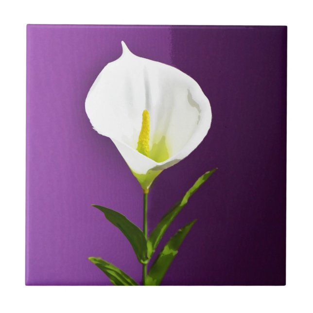Cala Lily-blomma Kakelplatta (Framsidan)