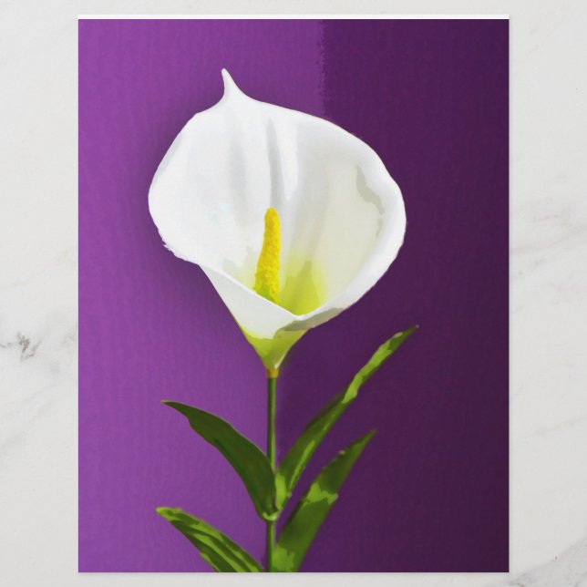 Cala Lily-blomma Reklamblad (Framsidan)