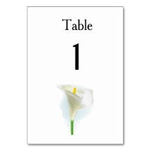 Cala Lily Modern Simple Elegant bröllop Ideas