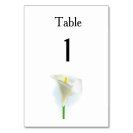 Cala Lily Modern Simple Elegant bröllop Ideas Bordsnummer