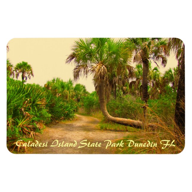 Caladesi Island Dunedin Fl Flexi Magnet (Horisontell)