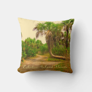 Caladesi Island Dunedin Fl Pillow Kudde