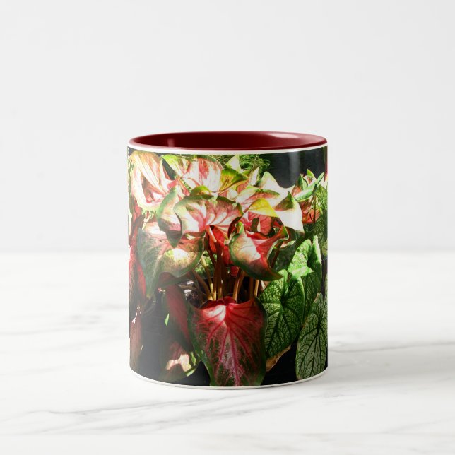 CALADIUM Två-Tonad MUGG (Center)