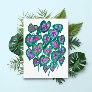 Caladiums Rosa & Grönt Löv Watercolor Art Vykort