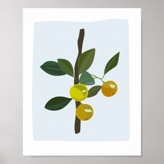 Calamonsi Golden Lime Citrus Illustration Poster (Framsidan)