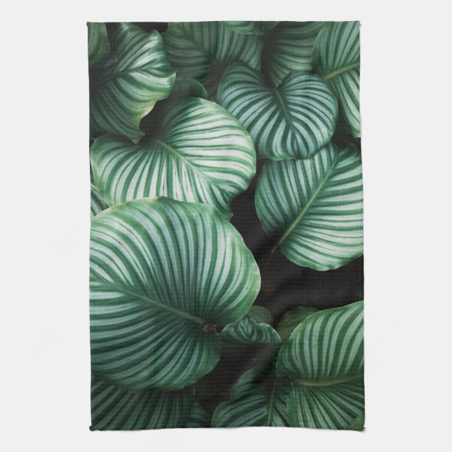 Calathea löv, stripade tropiska växter kökshandduk (Vertikal)