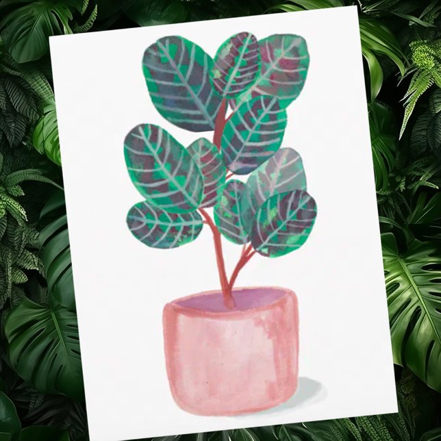 Calathea Prayer Plant Watercolor Vykort (Pretty watercolor houseplant custom postcard)