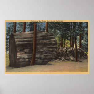 Calaveras stor träddelstatspark poster