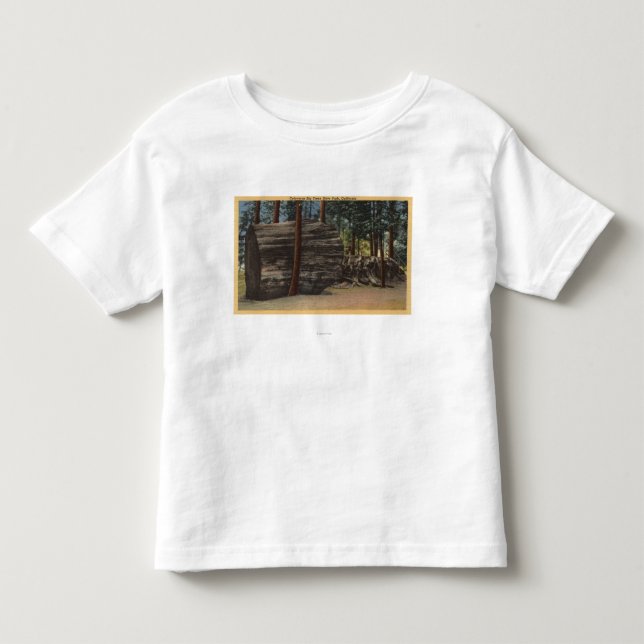 Calaveras stor träddelstatspark tee shirt (Framsida)