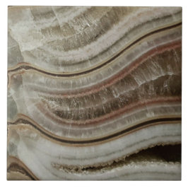 Calcite ammonite kakelplatta