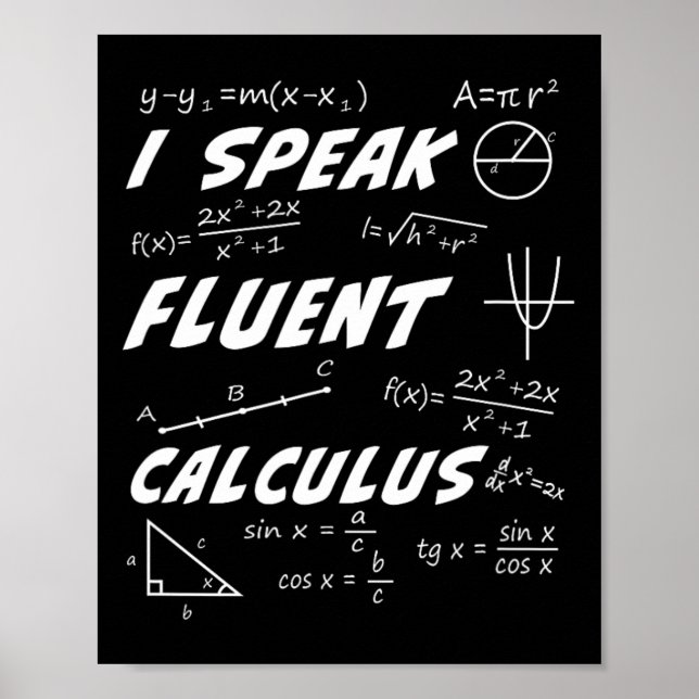 Calculus Pi Day Algebra Geometry Trigonometry Stud Poster (Framsidan)