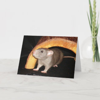 Caleb-kort Tack Kort