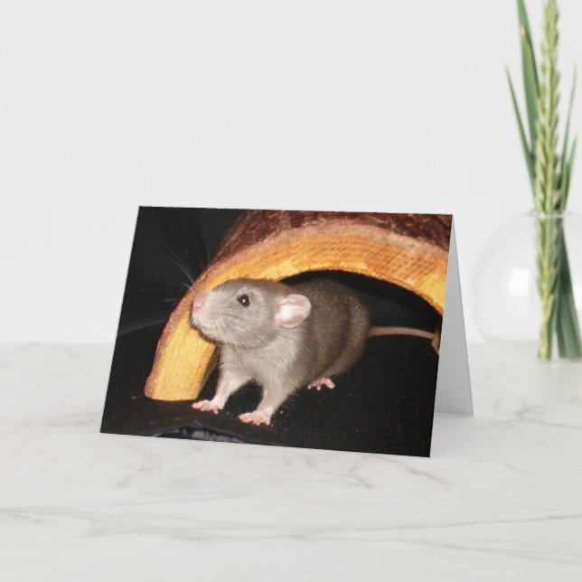 Caleb-kort Tack Kort (Framsida)